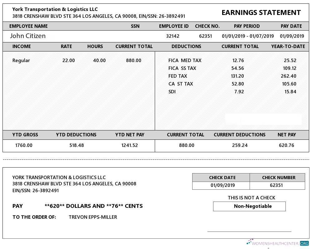 Download USA YORK Transportation & Logistics LLC earning statement in Word and PDF formats Photoshop template